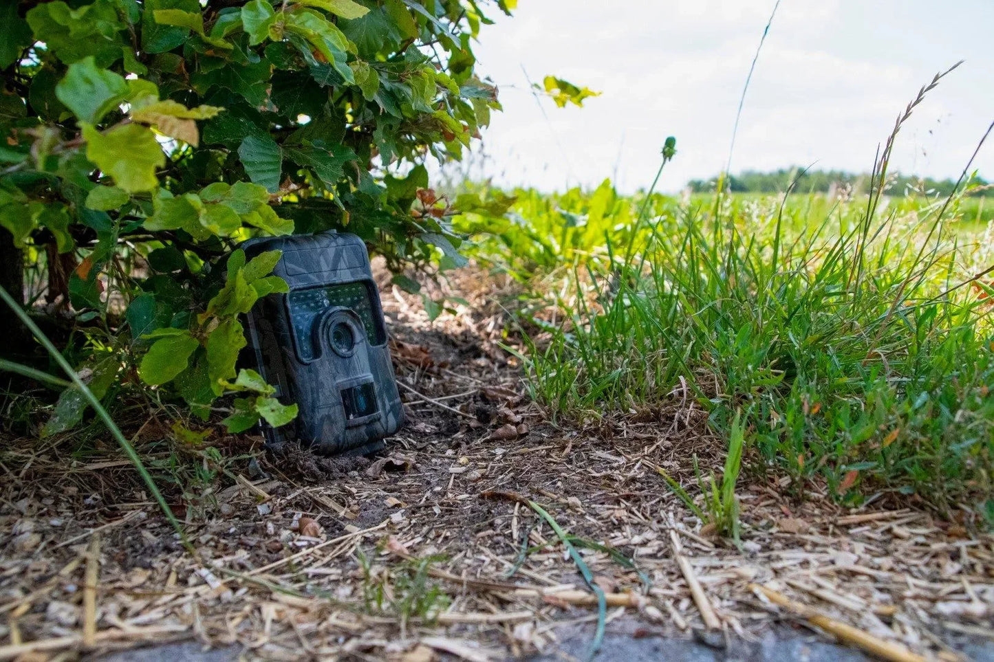 Knock Off Observatie Camera - Dierplagenshop