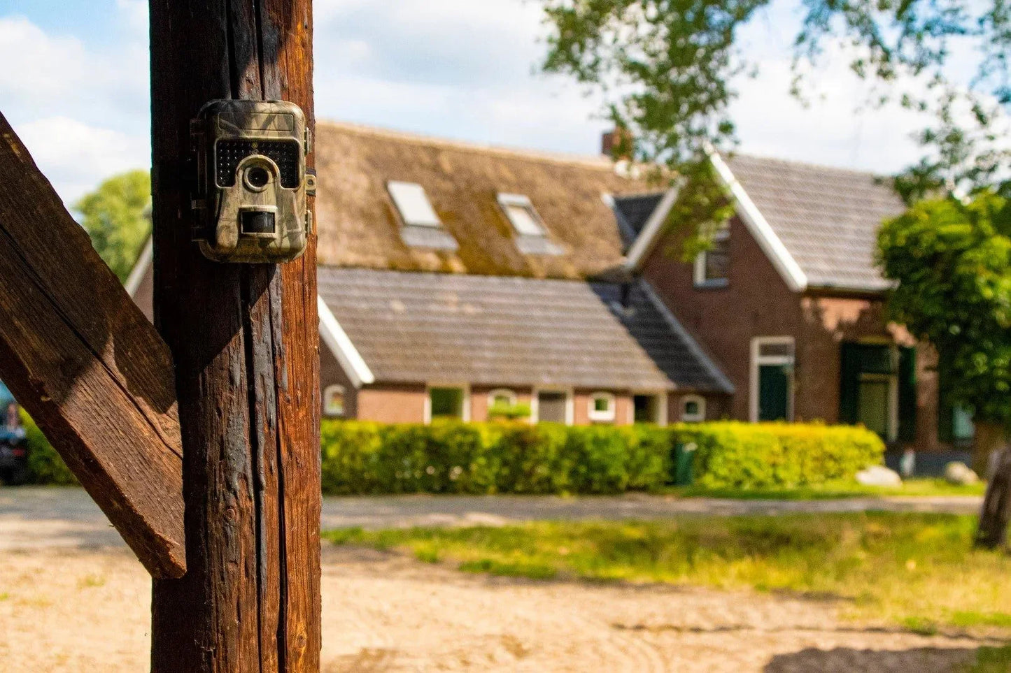 Knock Off Observatie Camera - Dierplagenshop