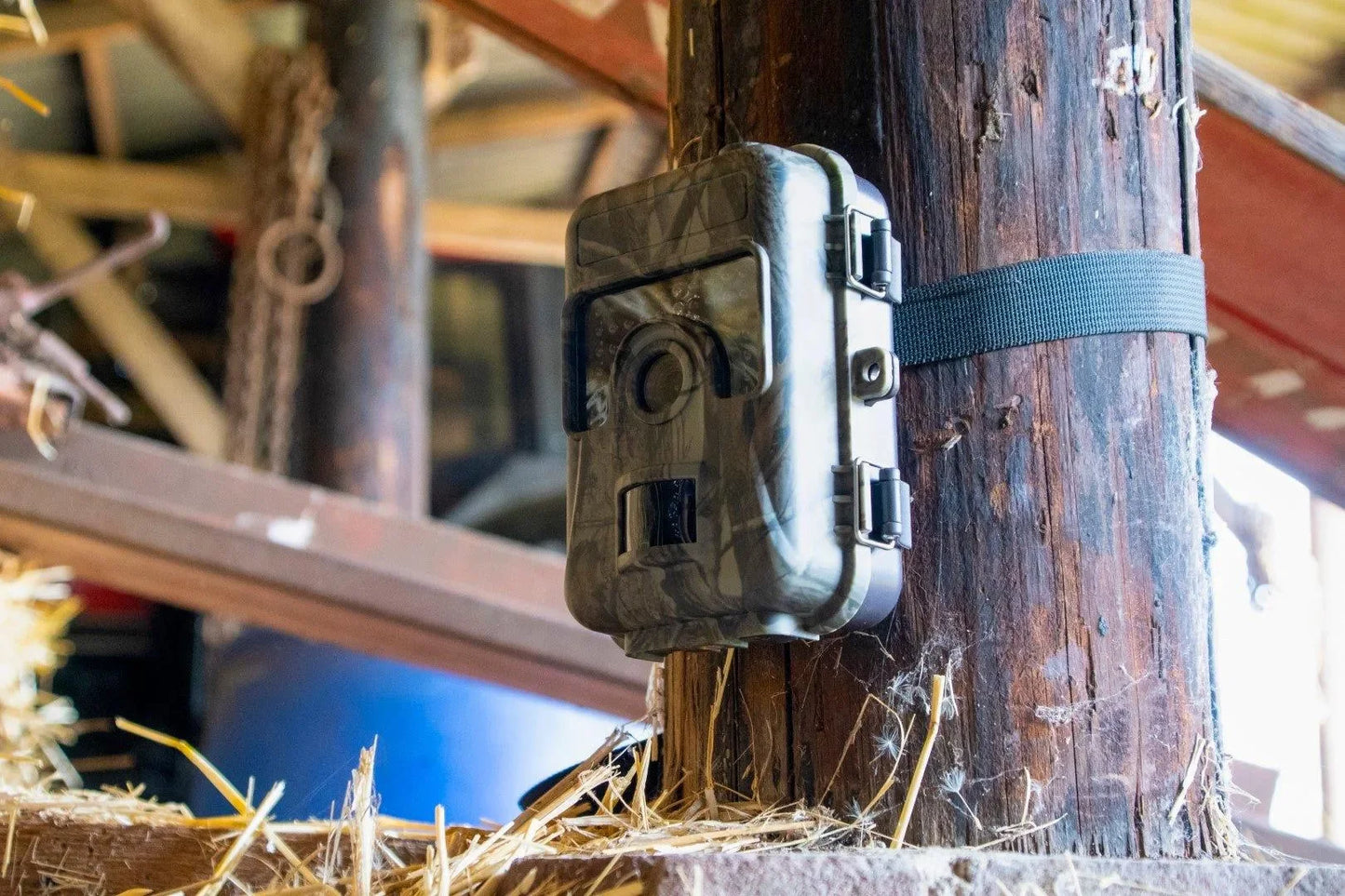 Knock Off Observatie Camera - Dierplagenshop