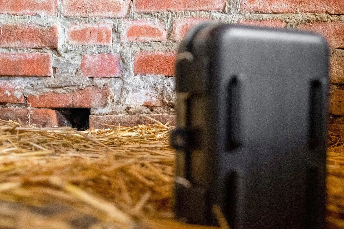 Knock Off Observatie Camera - Dierplagenshop