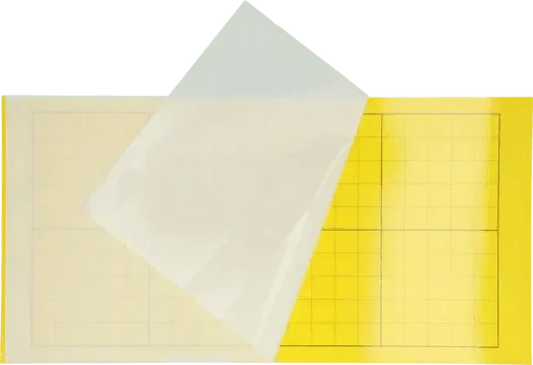 Insectron Lijmplaat 200/300 6 stuks - Dierplagenshop