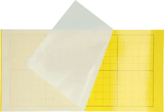 Insectron Lijmplaat 200/300 6 stuks - Dierplagenshop