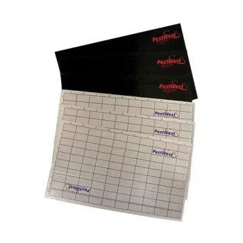 Lijmplaat Pestwest Chameleon per 6 st. - Dierplagenshop