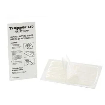 Lijmval Trapper LTD 20 cm x 10 cm (9 stuks) - Dierplagenshop