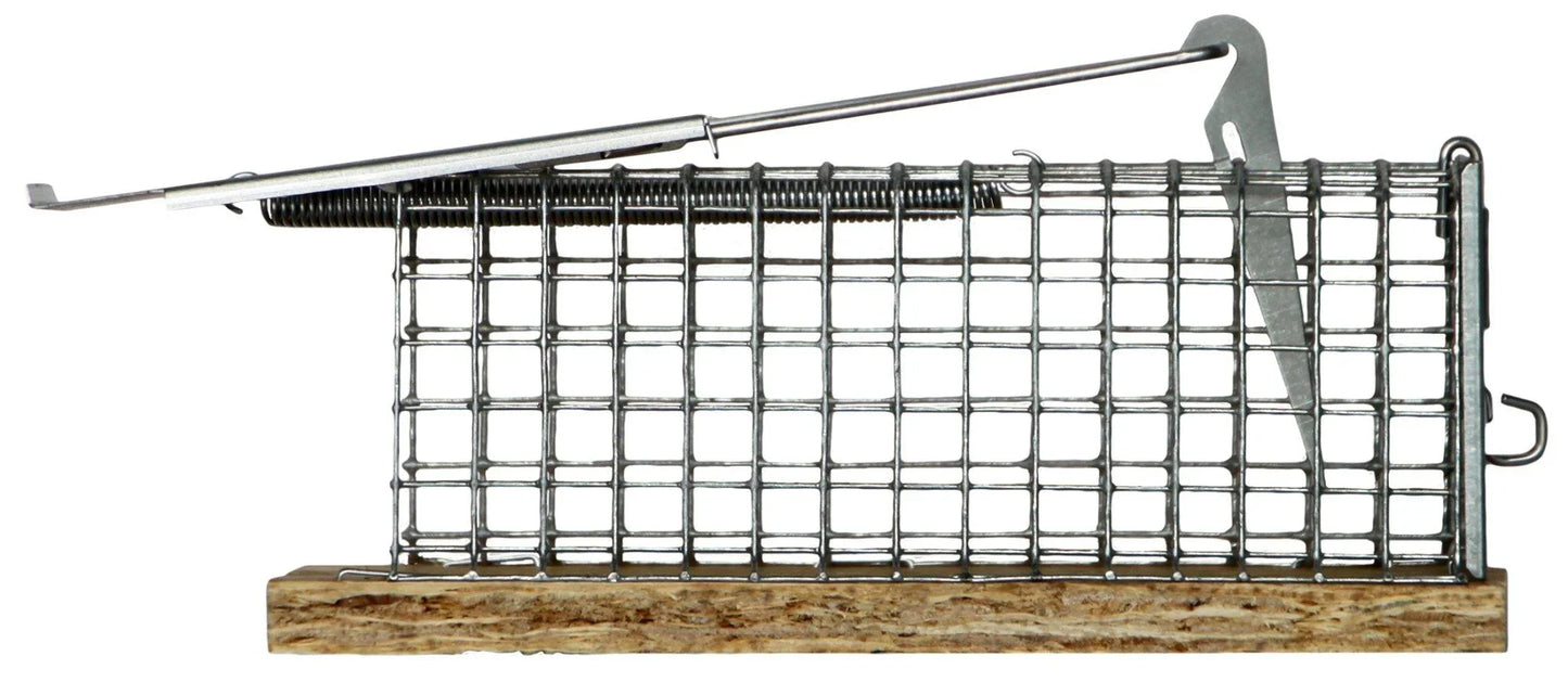 Muizenval inloop levend "Dura" - Dierplagenshop