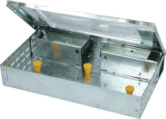 Nara Lure 100 stuks Vis - Dierplagenshop