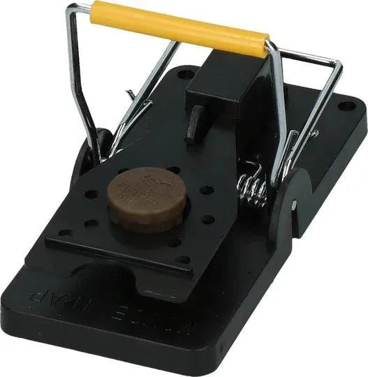 Nara Lure 100 stuks Vis - Dierplagenshop