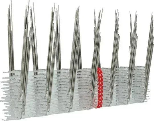 Avipoint Weringspinnen Duif P14 - Dierplagenshop