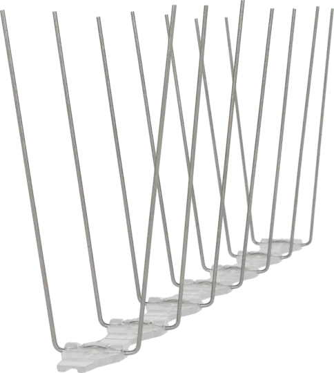 Avipoint Weringspinnen Duif P14 - Dierplagenshop