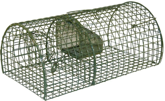 Rattenval inloop levend "Alive" Massa - Dierplagenshop