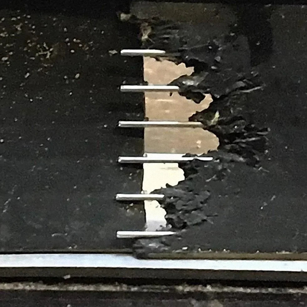 Raxit Door Seal 1 meter met Shielding Strip - Dierplagenshop