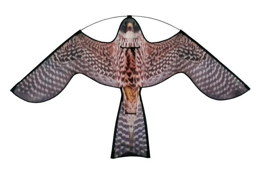 Reserve vlieger Hawk Kite met roofvogelprint - Dierplagenshop