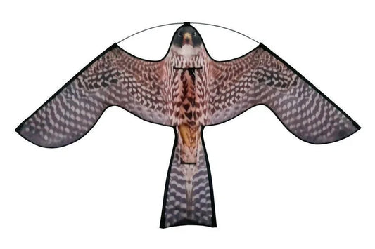 Reserve vlieger Hawk Kite met roofvogelprint - Dierplagenshop