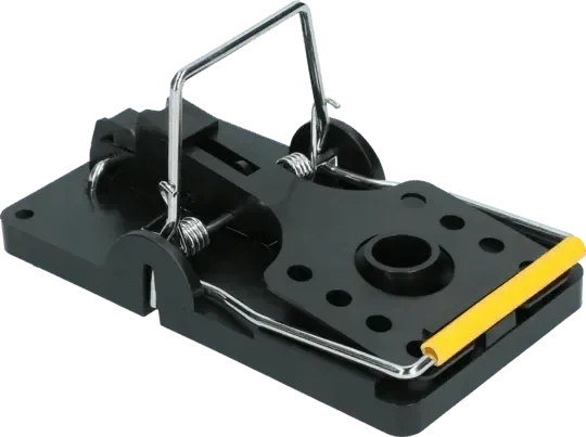 Aegis Mini Rat Voerdoos incl. sleutel - Dierplagenshop