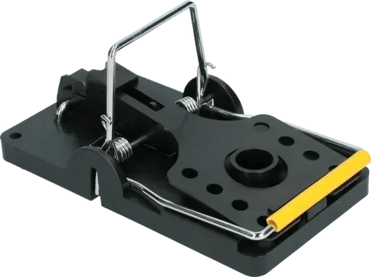 Aegis Mini Rat Voerdoos incl. sleutel - Dierplagenshop