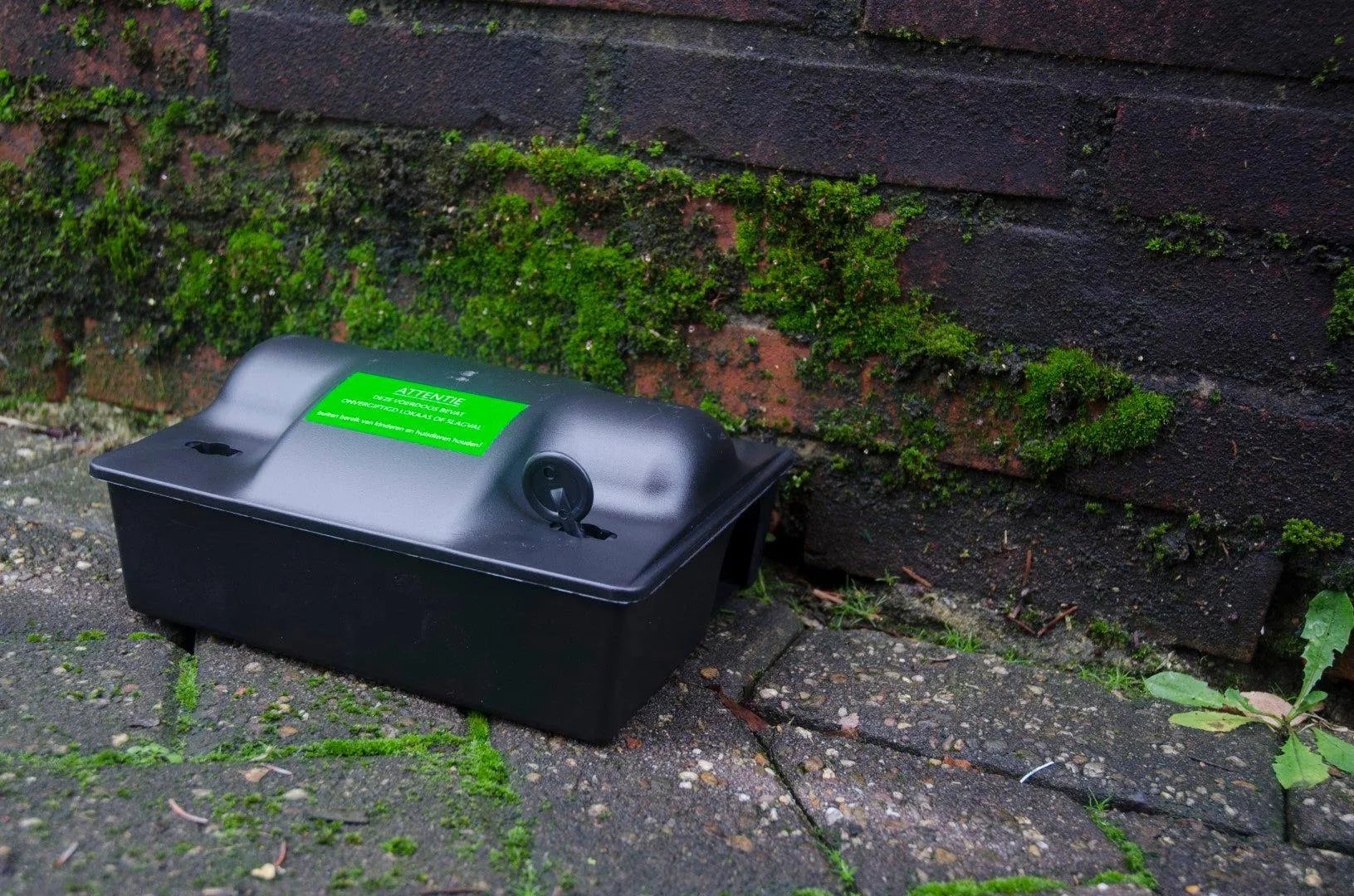 Sticker Onvergiftigd / Slagval - Dierplagenshop