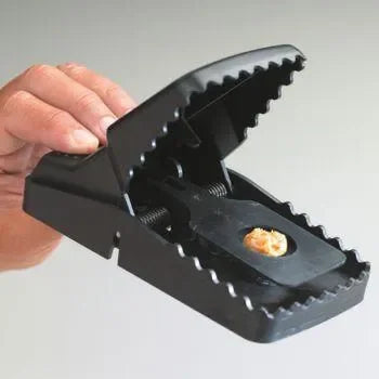 TrapperT-Rex Rat - Dierplagenshop