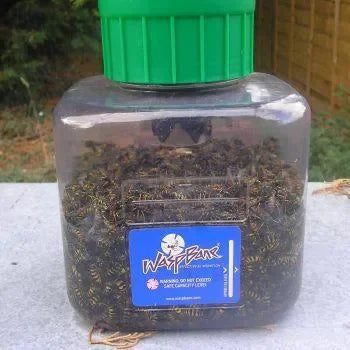 WaspbaneWespenval - Dierplagenshop