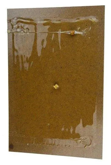 Zapi Super Lijmval hout 28 cm x 19 cm - Lijmval -Dierplagenshop