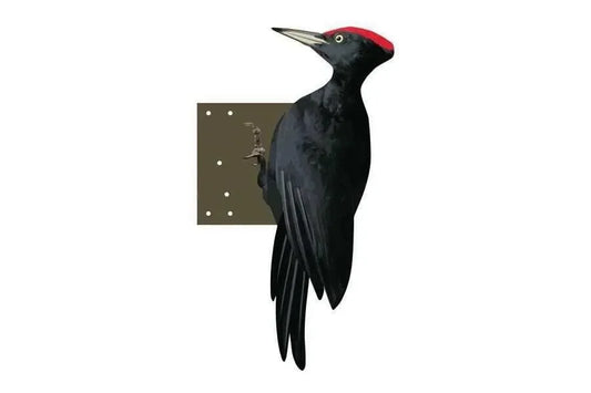 Zwarte Specht 52 cm - Dierplagenshop