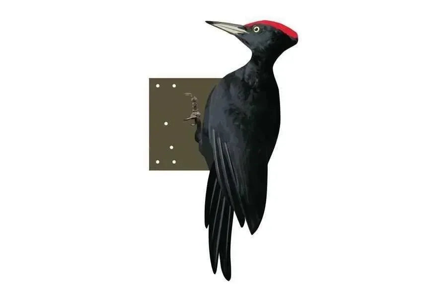 Zwarte Specht 52 cm - Dierplagenshop