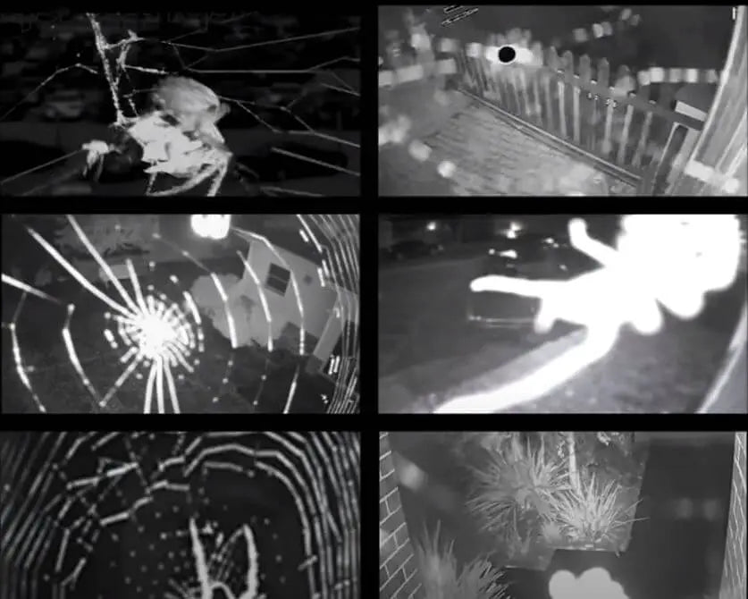 Spinnen worden aangetrokken door infraroodlicht en hinderen zicht - Dierplagenshop