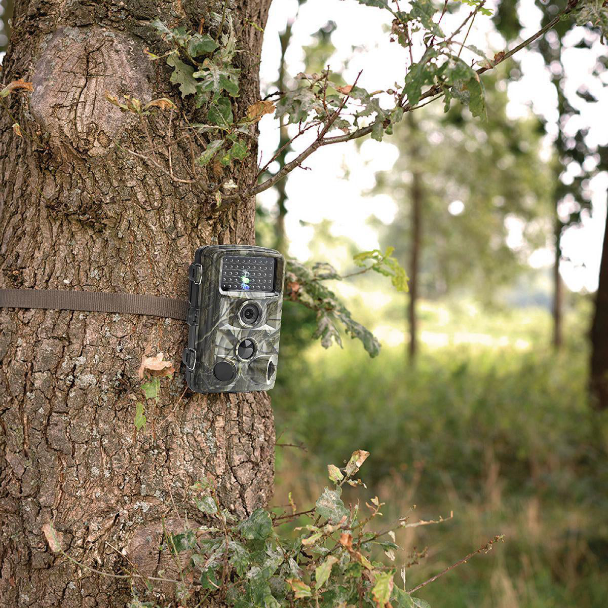 Wildcamera HD Night Vision Wildlife Monitoring | Dierplagenshop