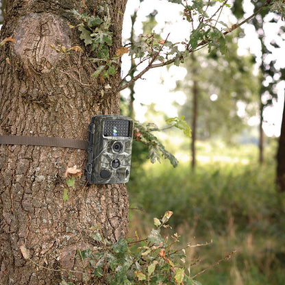Wildcamera HD Night Vision Wildlife Monitoring | Dierplagenshop