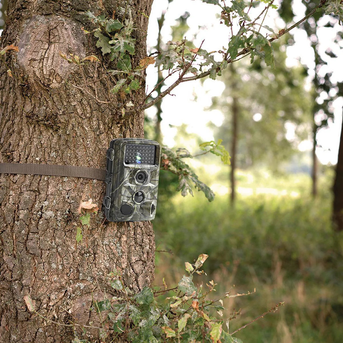 Wildcamera HD Night Vision Wildlife Monitoring | Dierplagenshop
