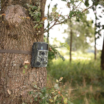 Wildcamera HD Night Vision Wildlife Monitoring | Dierplagenshop