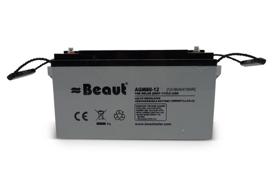Accu Semietractie 12 V 80 Ah AGM - Dierplagenshop