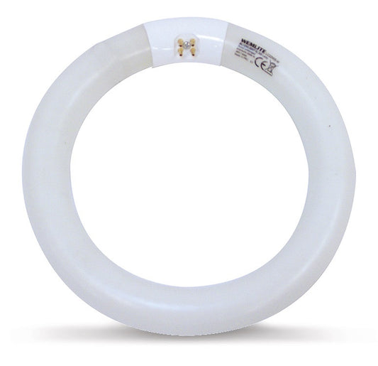 Lamp 22W cirkel shatter Wemlite