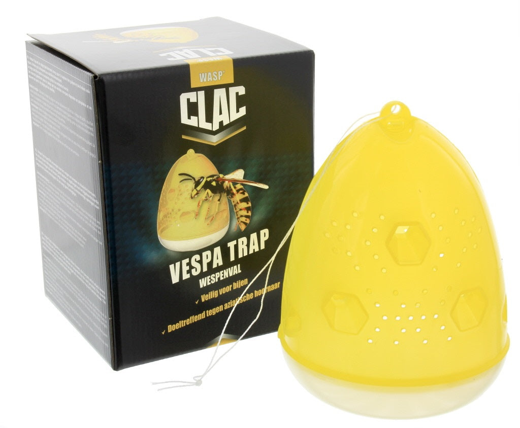 Wespen en hoornaarval