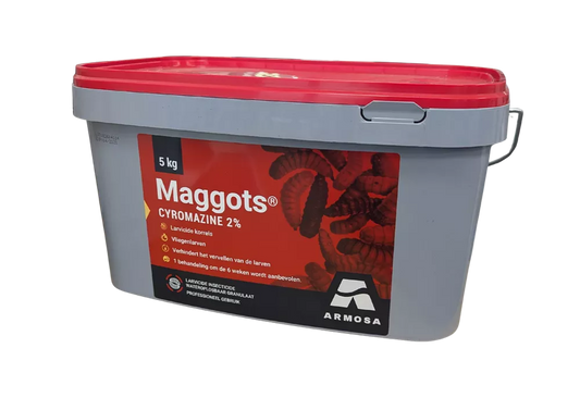 Maggots NL