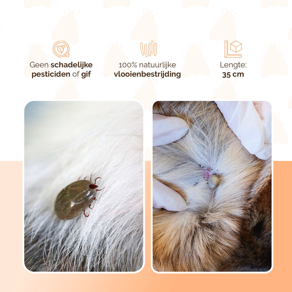 Knock Pestcontrol Vlooien/Tekenband Kat 33 cm NL/FR