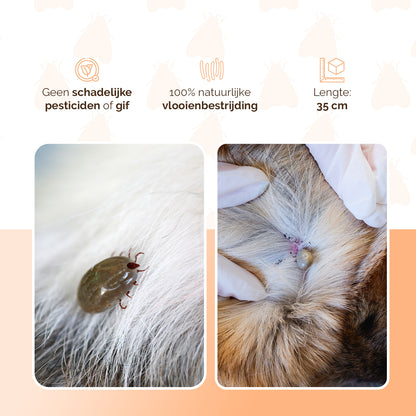 Knock Pestcontrol Vlooien/Tekenband Kat 33 cm NL/FR