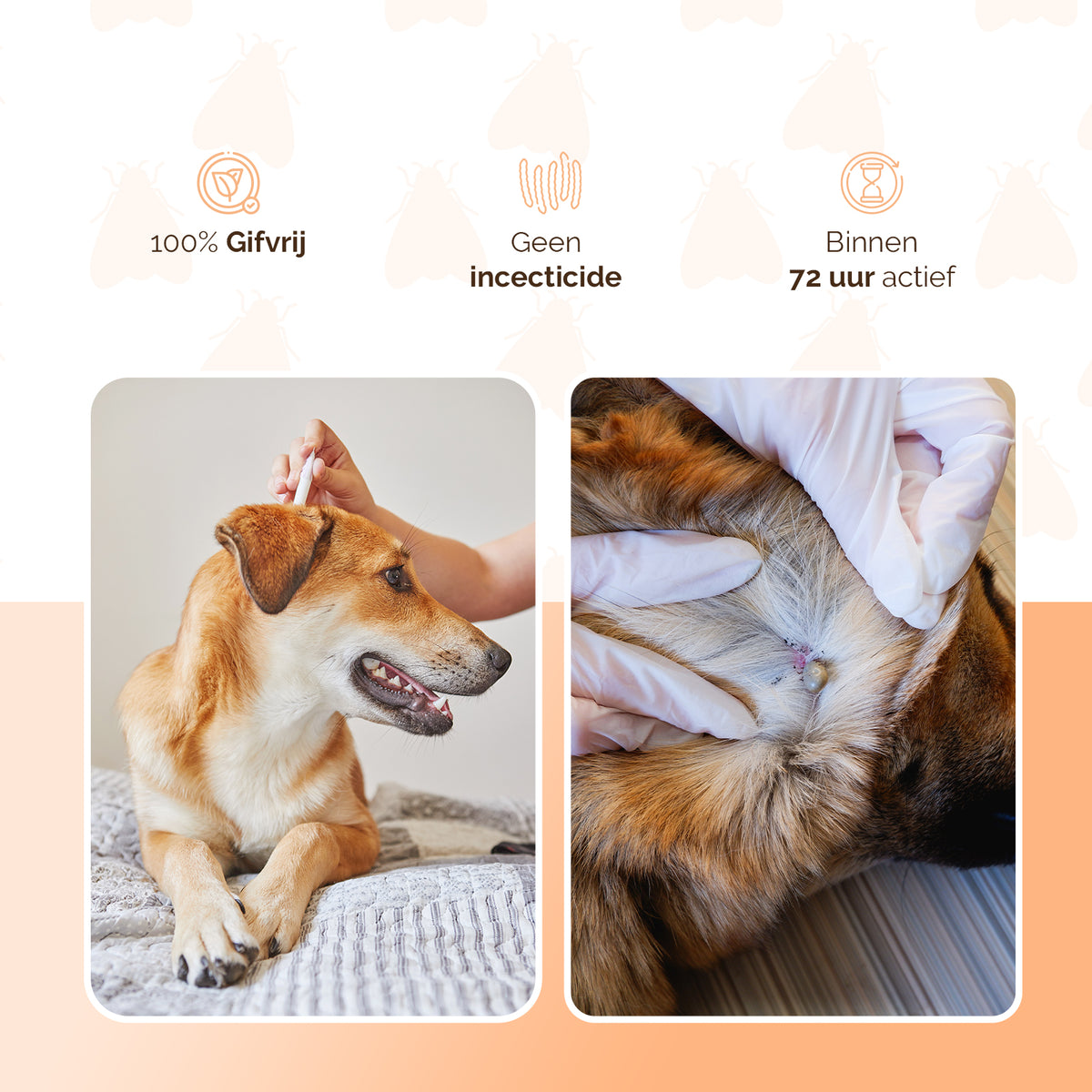 Knock Pestcontrol vlooien-tekenpipet Hond >= 5 kg