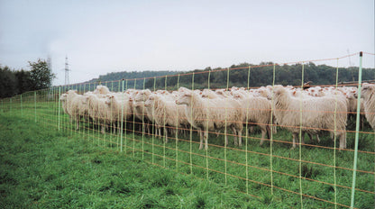 Euro-Netz 106 cm dubbelpunt