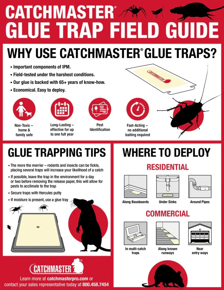 Catchmaster 72MB - 72 Stuks