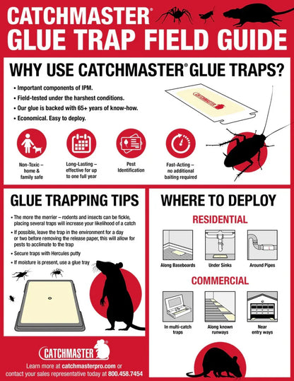 Catchmaster 72MB - 72 Stuks