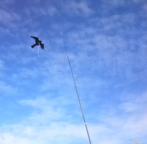 Birdscare Kite compleet, 7m
