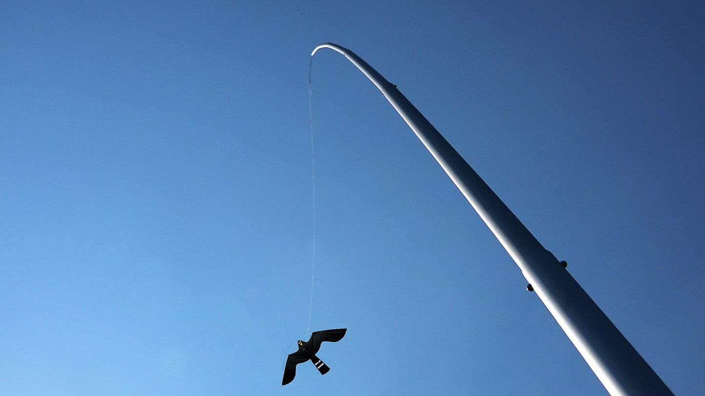 Aluminium paal + Black Hawk Kite, 13,5m