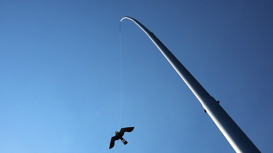 Aluminium paal + Black Hawk Kite, 13,5m