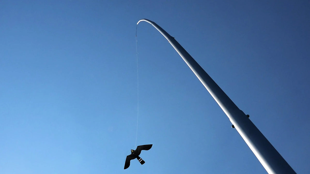 Aluminium paal + Black Hawk Kite, 13,5m
