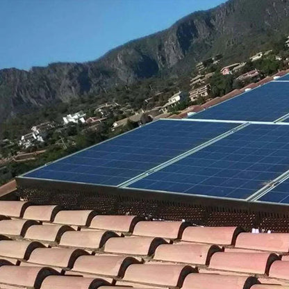 BuddySun