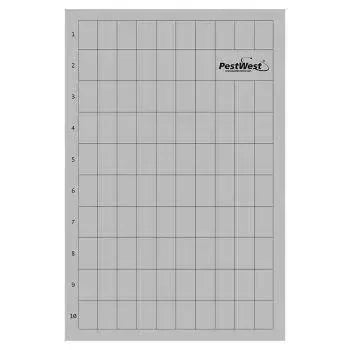 Glueboard Chameleon ExG Grijs Plastic (6) (BOAEXG883) - Dierplagenshop