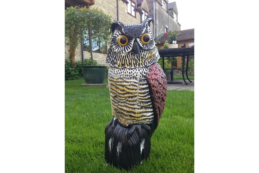Kunststof uil met beweegbaar hoofd 40 cm