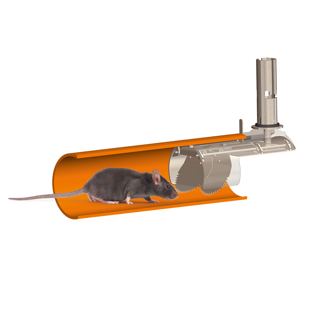 Rat Blocker geplaatst in een rioolbuis