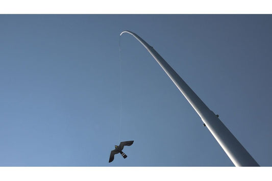 Aluminium mast 12,5 meter met vlieger Black Hawk Kite - -Dierplagenshop