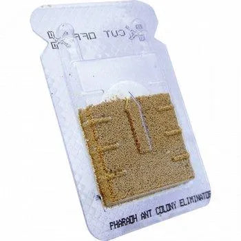 Biopren Faraomieren 24x 2,5gr - -Dierplagenshop